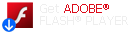 logo flash